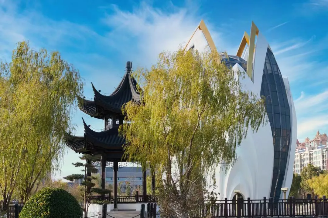 8cd8f73c57798d44e120dd4e5d5ecbb5-sz_1797281