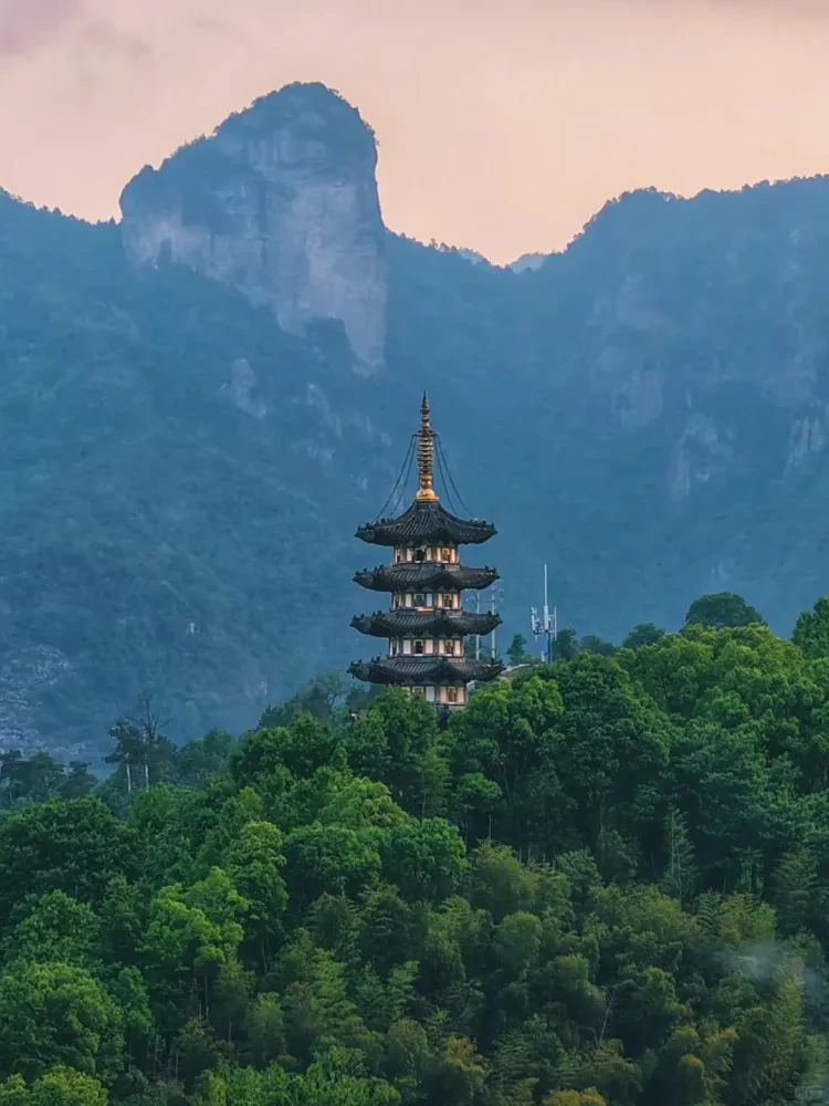 8ce647412fe45f44bf9632929c96ed2a-sz_291286