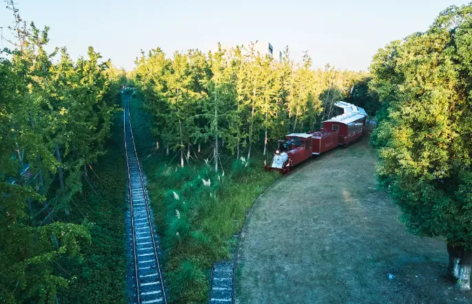 8d37e5efce78ccaf6c96a0cf4a4188be-sz_671991