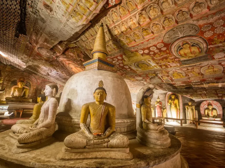 8d38342c78275e07ce5e36f0dea01dea-sz_1099440