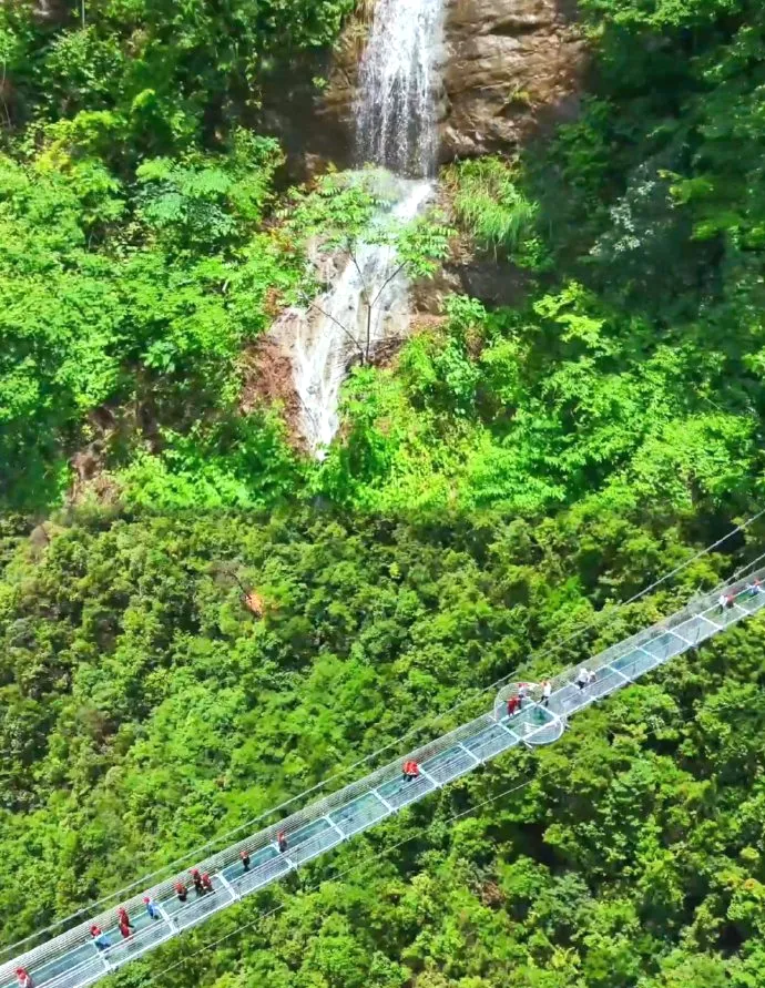 8d886bc5a1391e180f9ac8c8540a3786-sz_209008