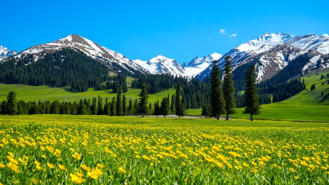 8daf254649e67c4d6853a16b90a7009a-sz_1921017