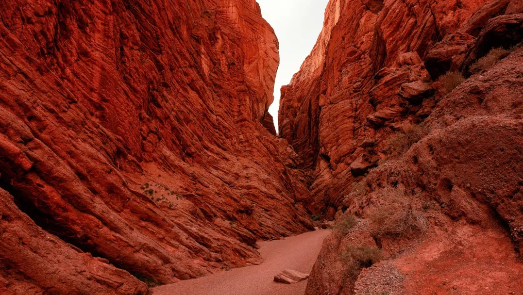 8ddb71d4bb24544f01f0e6423e6b2fe4-sz_4498235