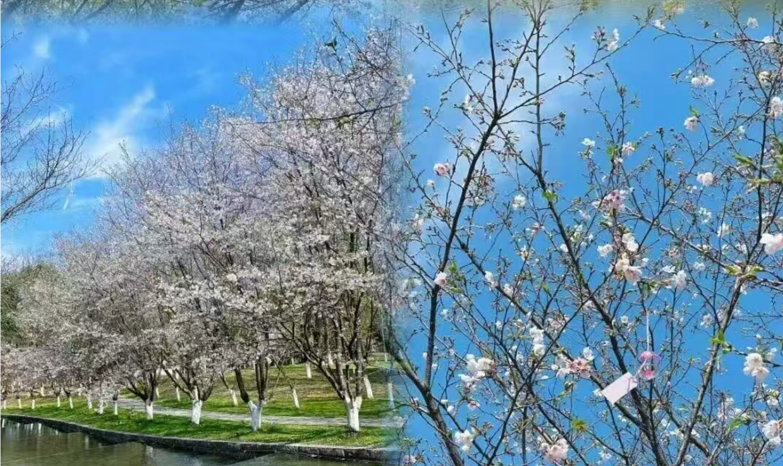 8e35d8ecac35cf60ff2262c39d6a38c0