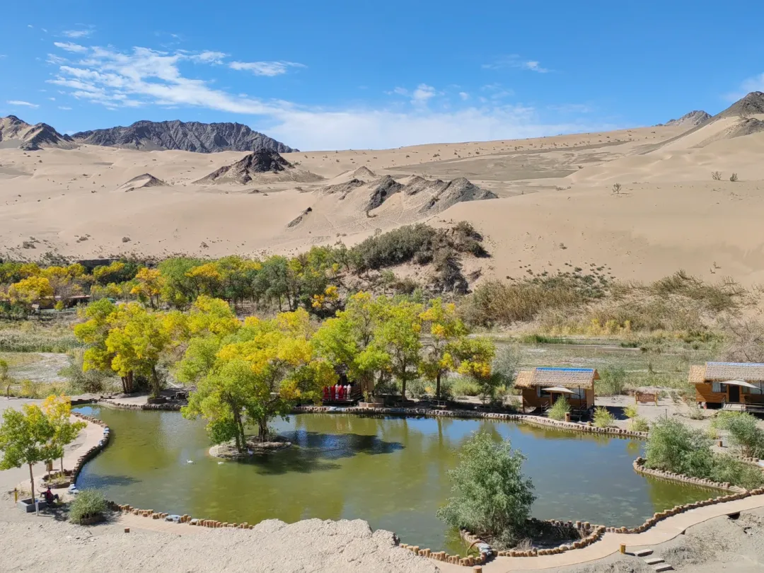 8e706e26f89c4931d03590c61a1b7f04-sz_2356737