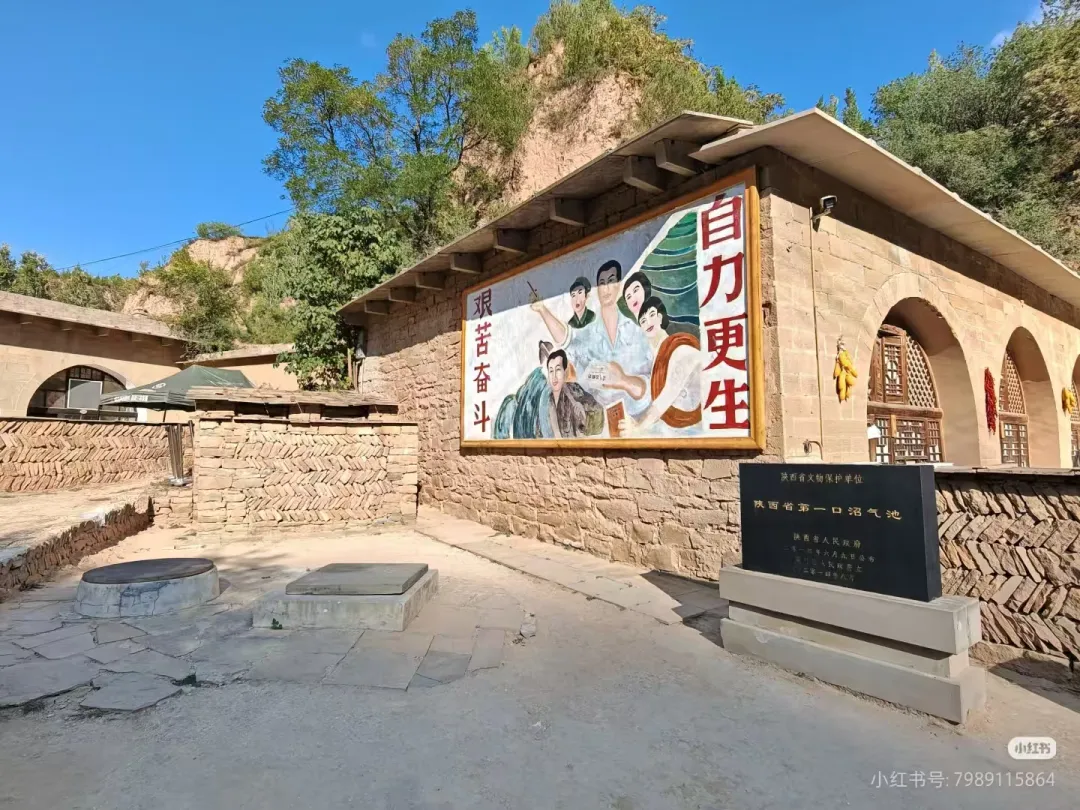 8e873fbb9bd12eab701856a93d0ad17a-sz_1148826