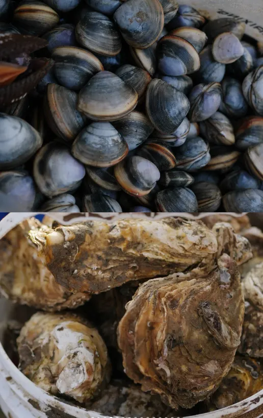 8f1d75abe27c70b4bc366560482cba9b-sz_1074441