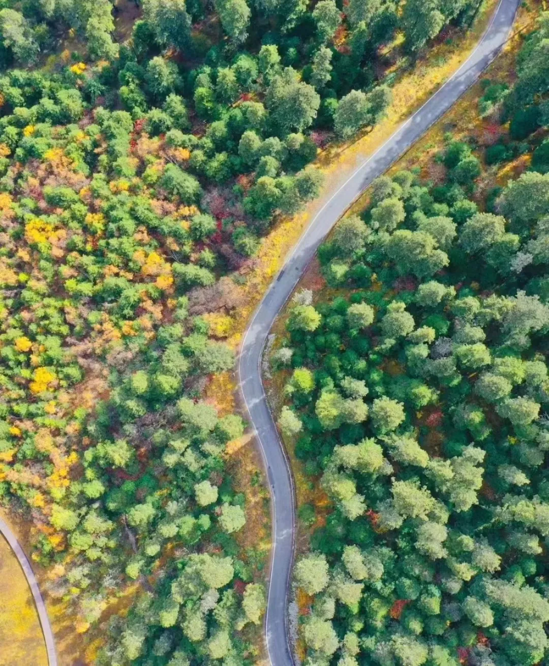 8f775ed3091a0b0138f86eda7baf05b8-sz_680279