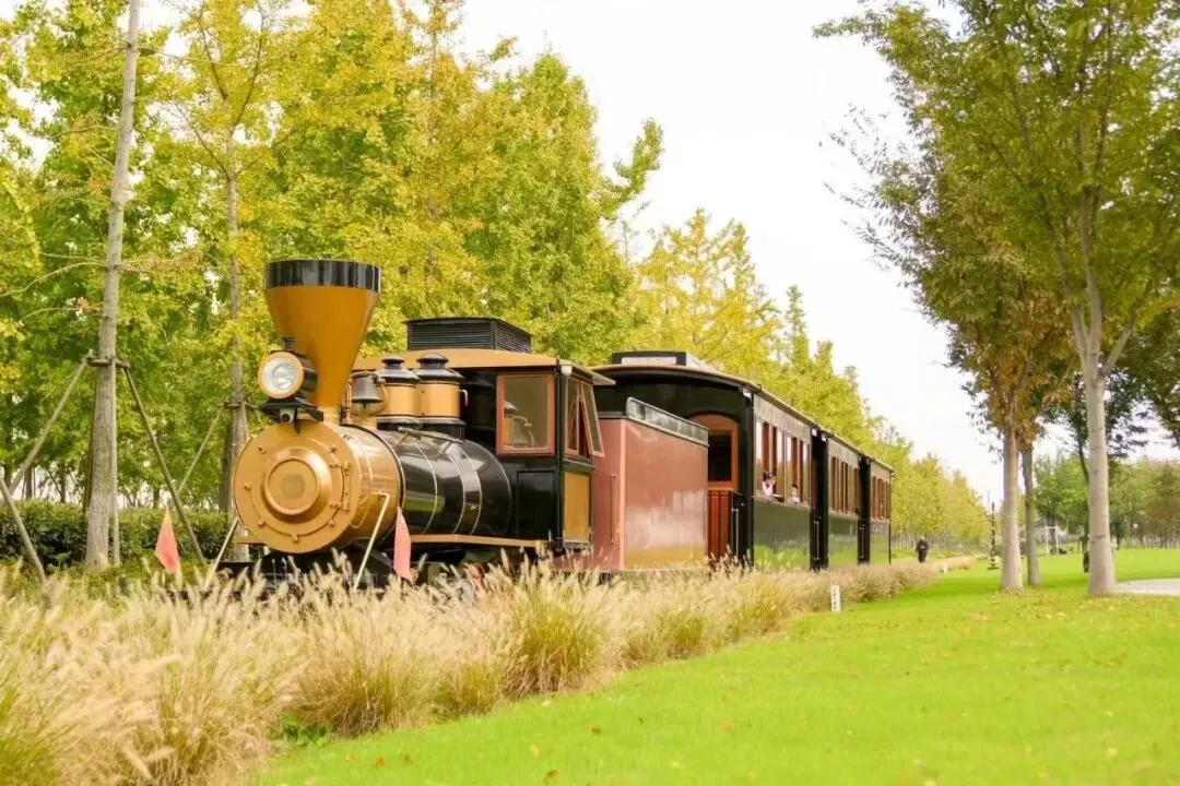 9034509b66e0ecc9d8017f25f3cbac80-sz_171238