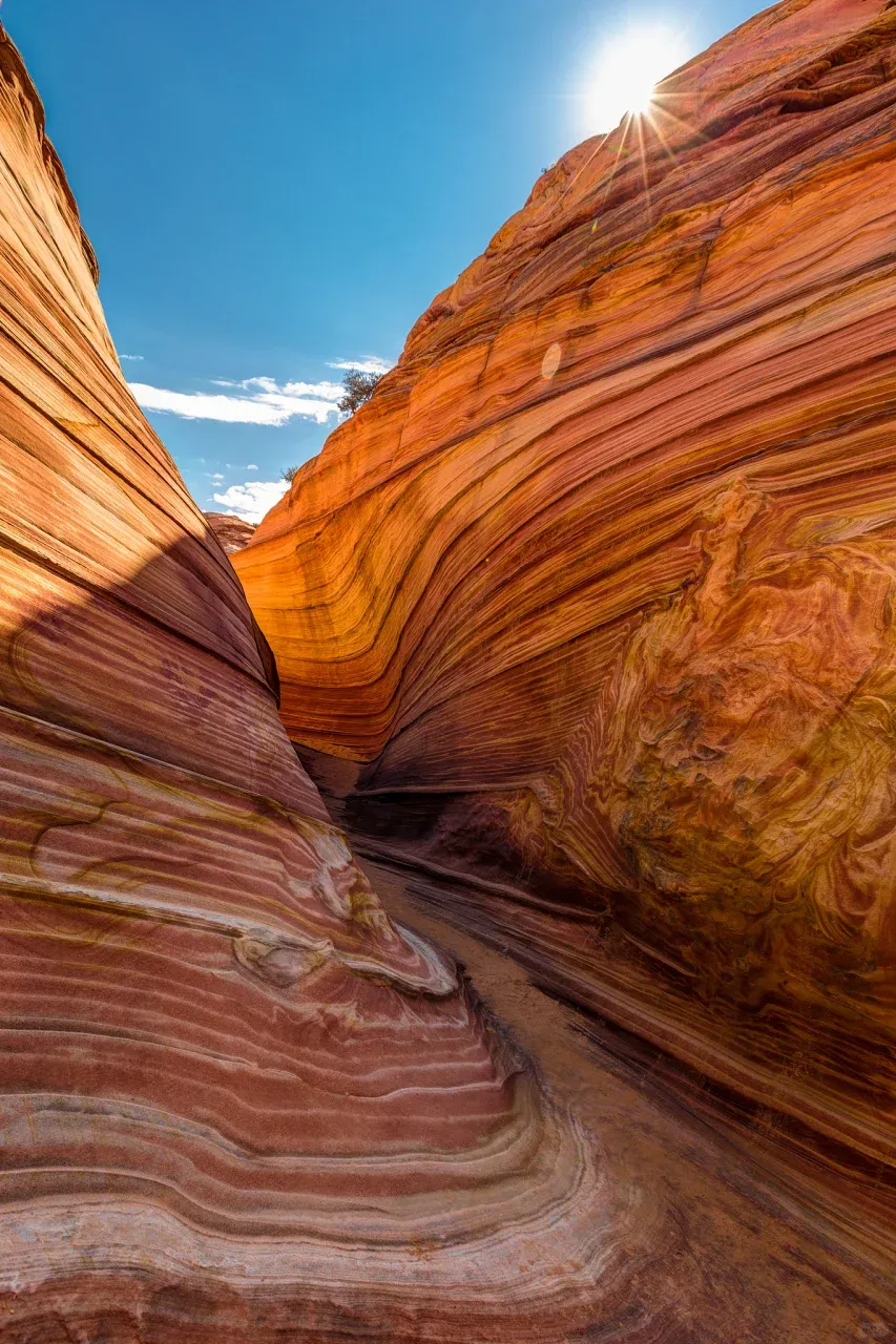 90437c0dc7d8a52ccfc043fe4fffe68c-sz_2027436