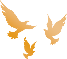 908d91aaa1c7d596be0b336f0508bc70-sz_19991