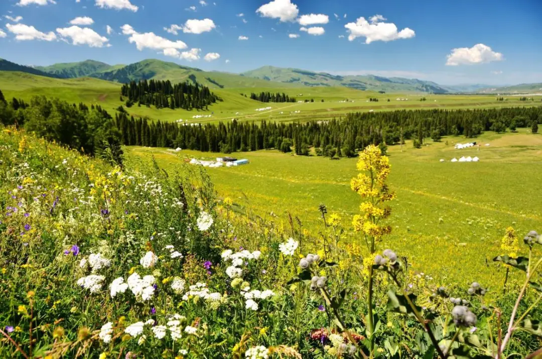 93959d0ccd2a6b784c089e4b36810acb-sz_222193