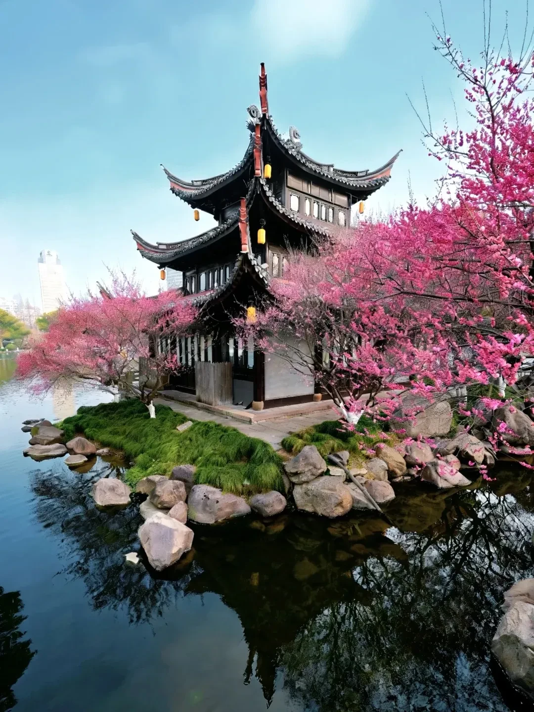 943a904ef9473a961dc74edade47f66c-sz_513924