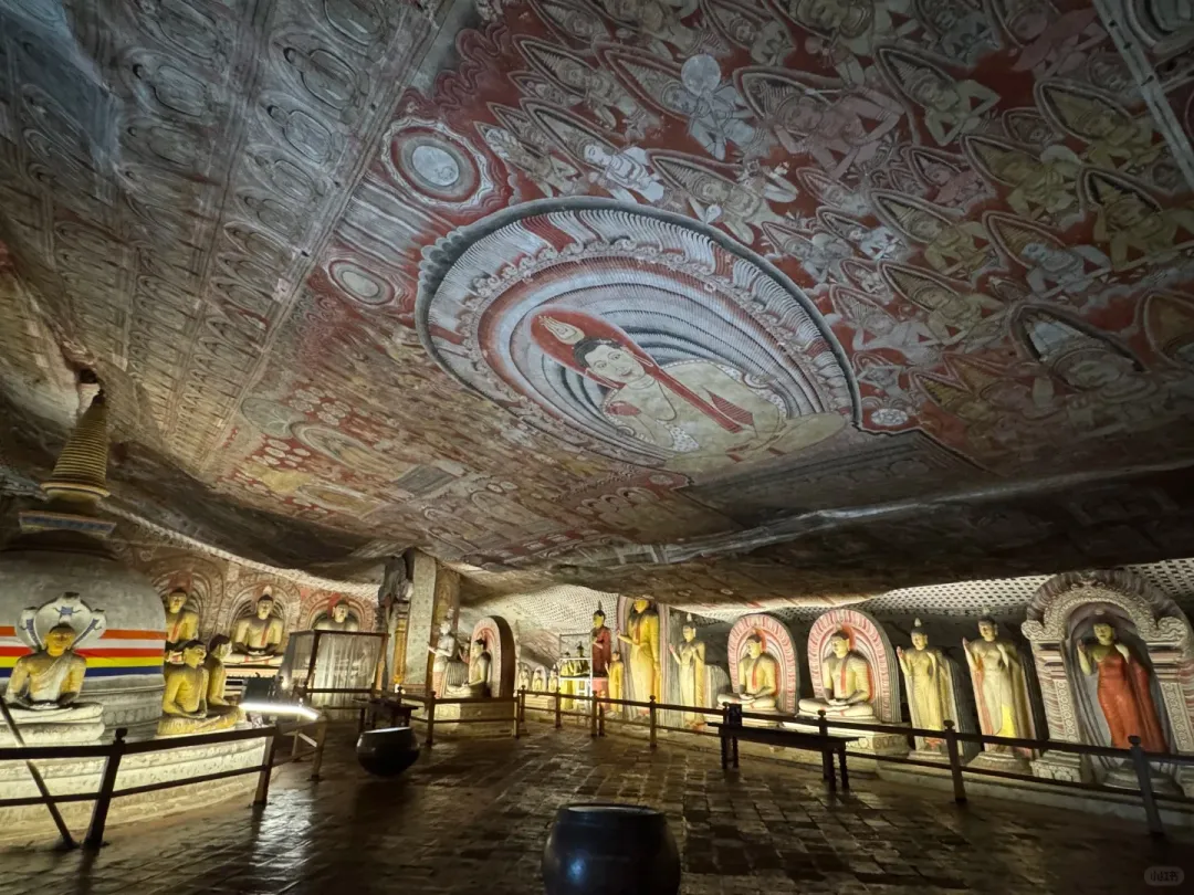 9532a0e3319cb8ec578a55fae2303881-sz_489453