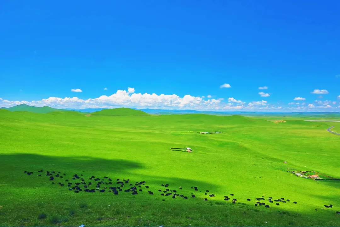 966d768a273e6244e9b3e21ced7f851f-sz_1601720