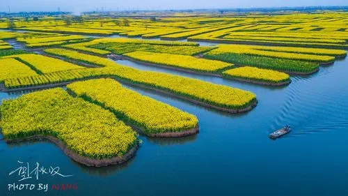 96985eb28346d73046d4c2fb80b8bddf-sz_327710-1