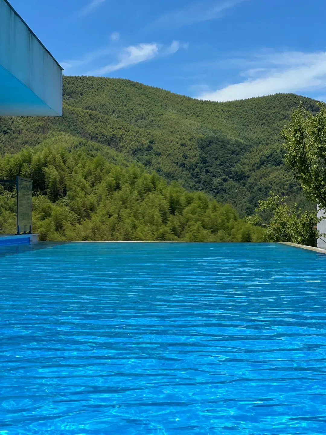 979e59234119e7a60301595e319ec825-sz_726896