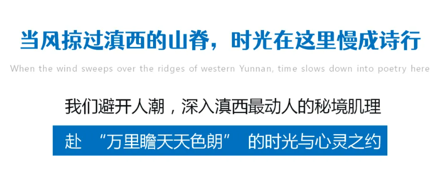 9932ffc5248342db21a0d85a7e4fa4bf