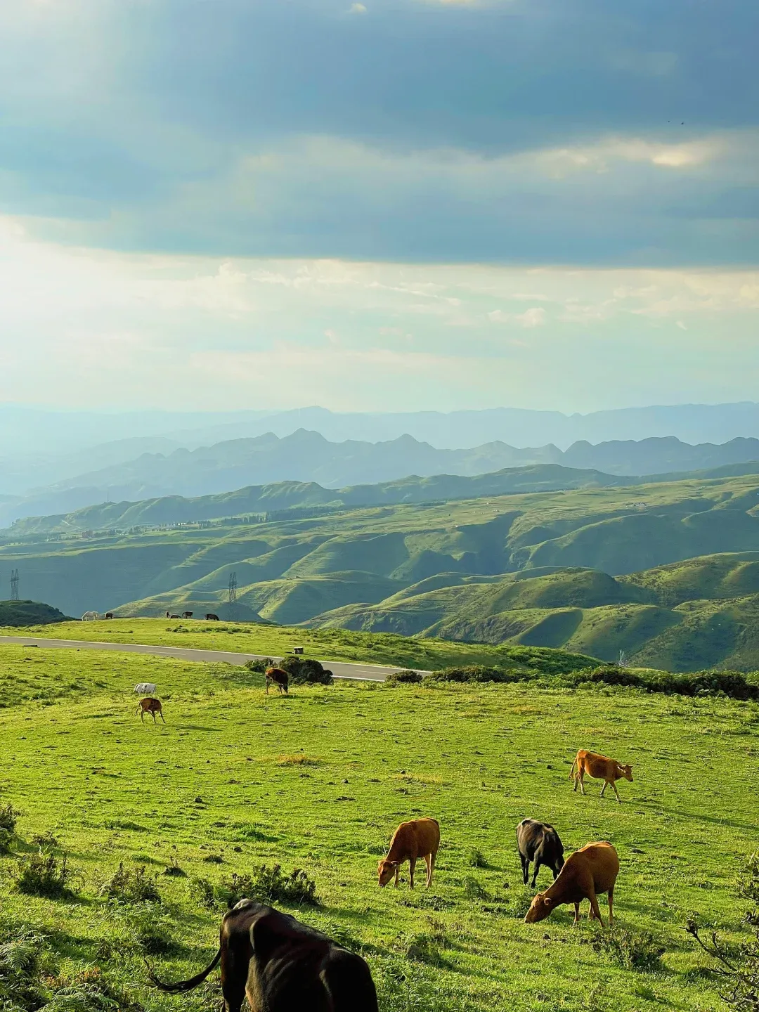 9981f19ebabe38f231658cd03d55a972-sz_2411771-3