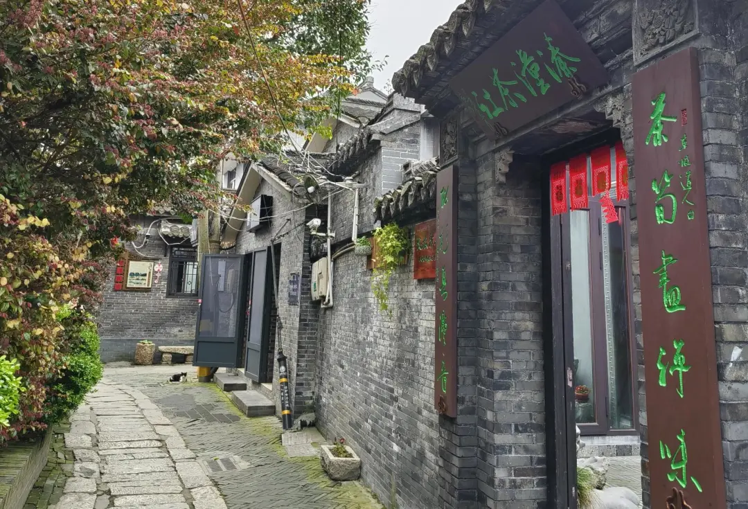 99d669f5e5dfbea9cfa1d038e09b961e-sz_1004763