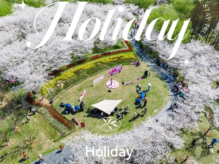 9a0742a0510228061b9b0c5923882042-sz_1136884