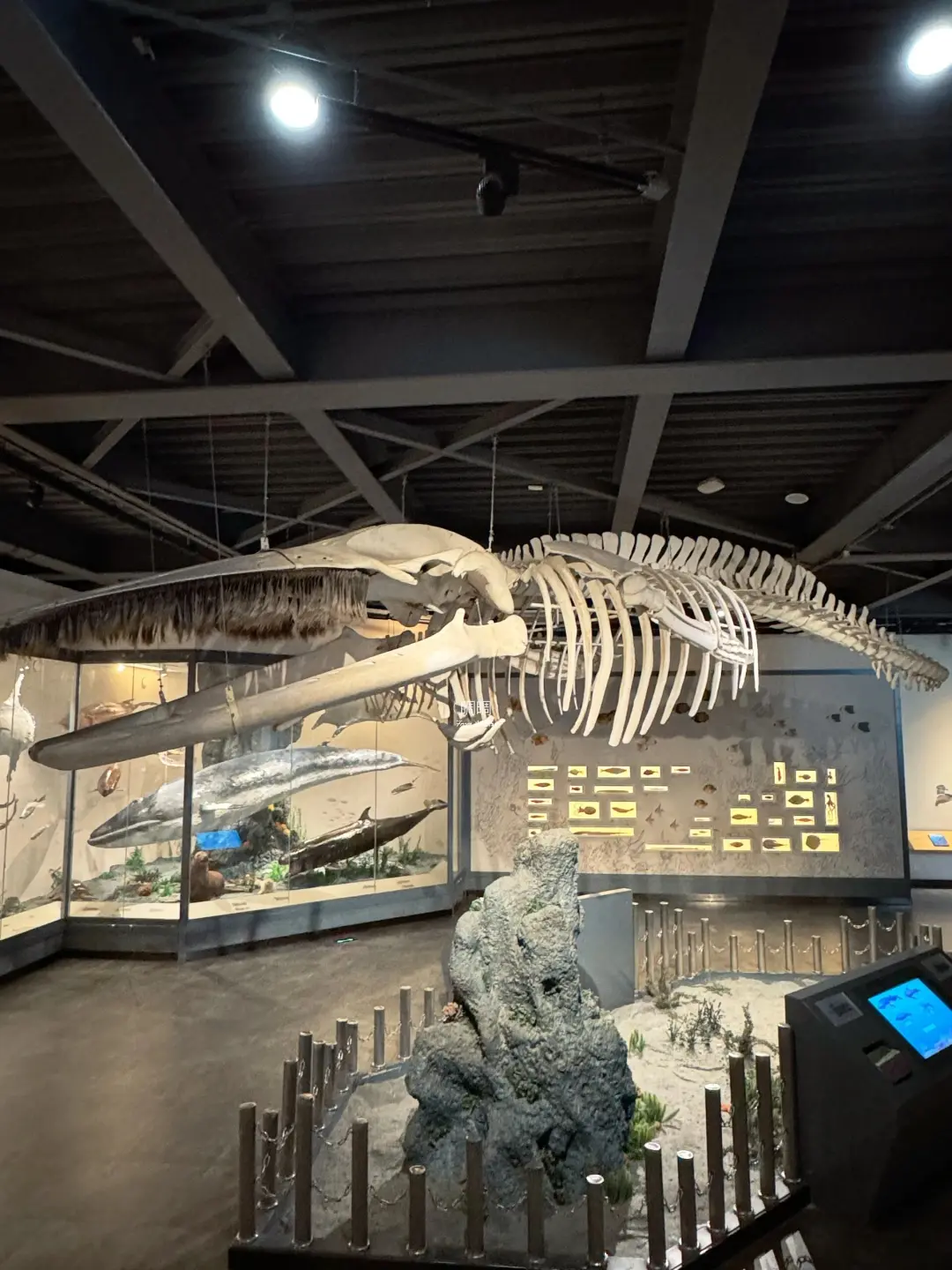 9ad9652a8088a665b12c60eaf2324f62-sz_538334