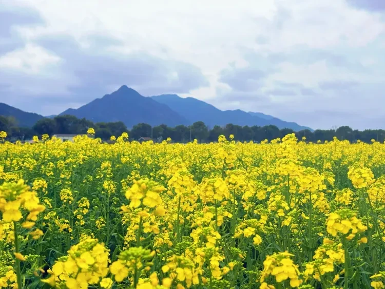 9b588d39dc713379b2c6bb6e263924d2-sz_2840362