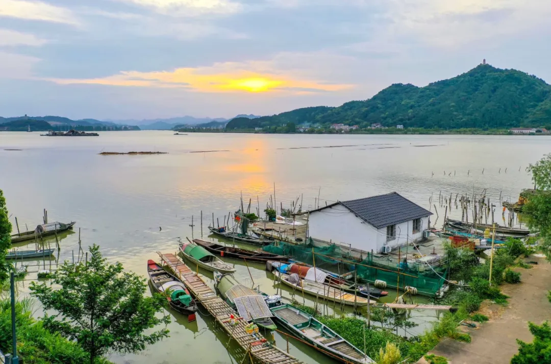 9c27f692bedb75f4ab4f717b56586413-sz_1187256