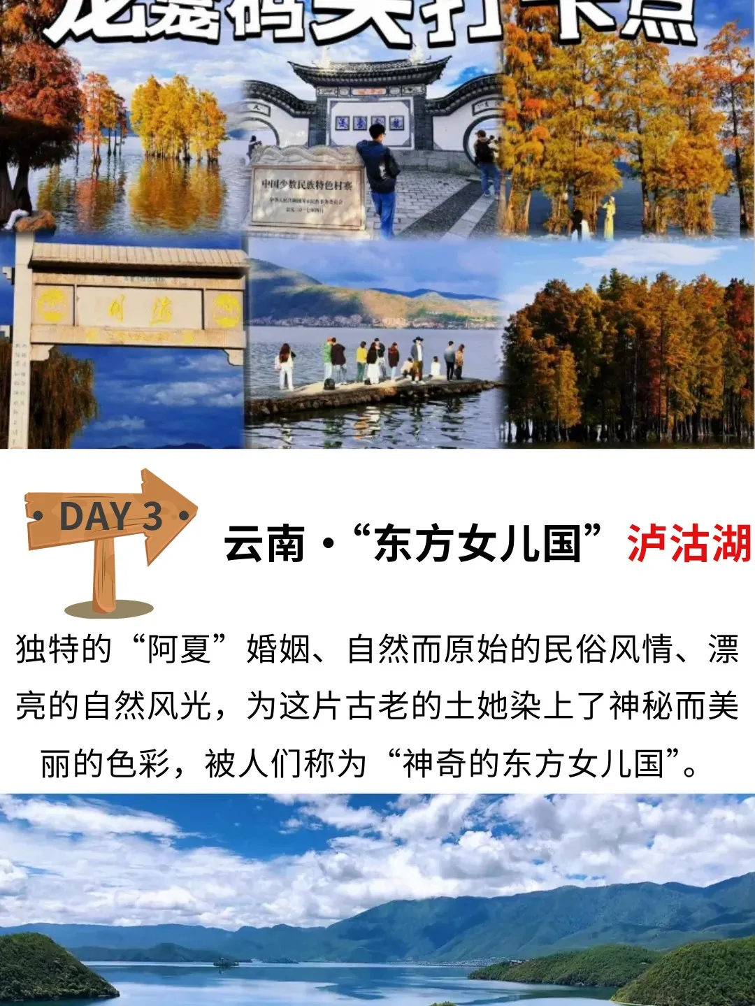 9c73ef9d0232c9ebe749805ed5ec353a-sz_369668