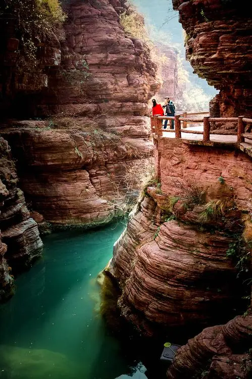 9d50abd6d1a39ba32cafeff57f9e0d6f-sz_91039