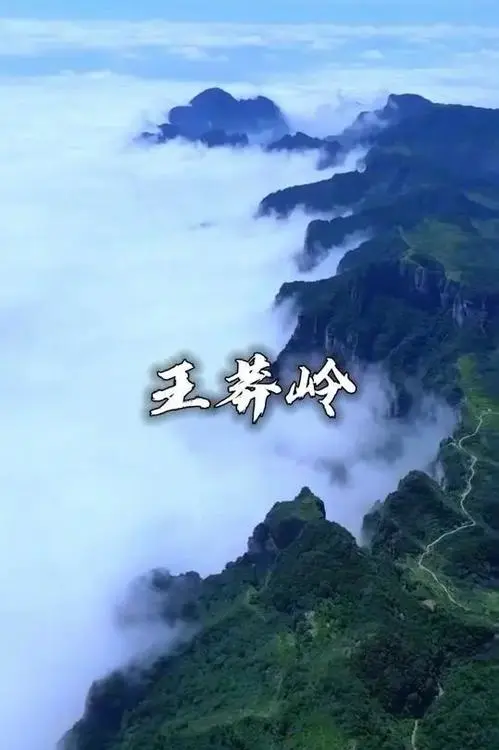 9d75be7a0d4bbe4b0f631289bd0878fc-sz_40798