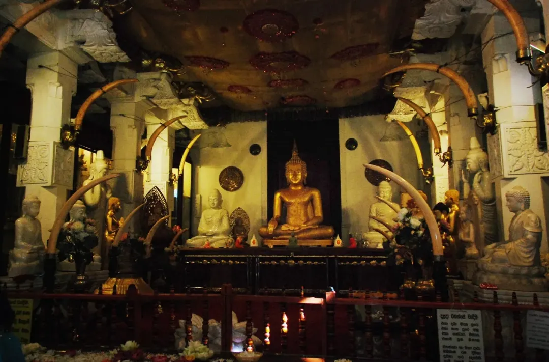 9d9163b81ac7dd42cb626f0560c6f171-sz_730366