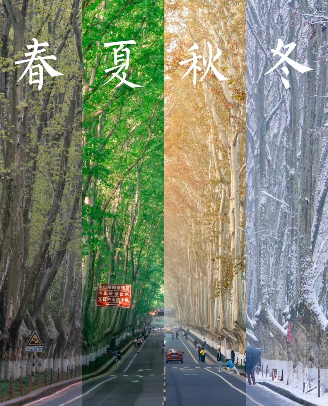 9eed7211458923572f66ea80e84910d6