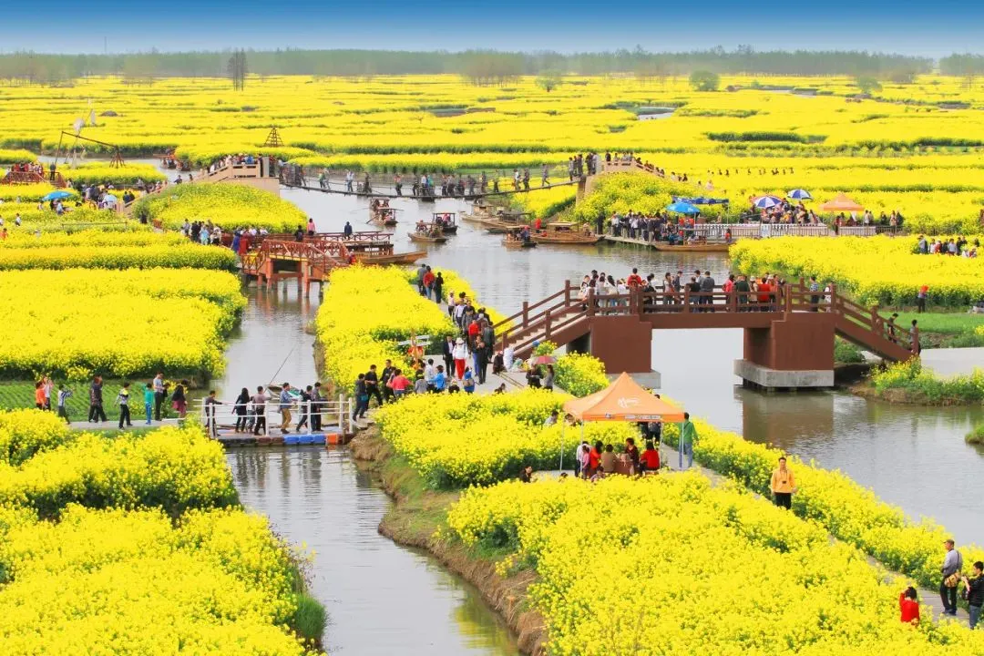 a165cc40fb5d8515e80fbe9da1c13ed9-sz_199270-1