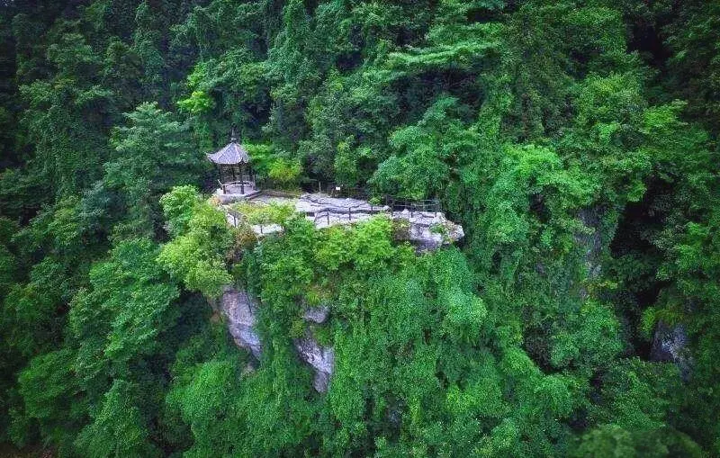 a1e0ff444dc9310ef88496283aac9b78-sz_119029