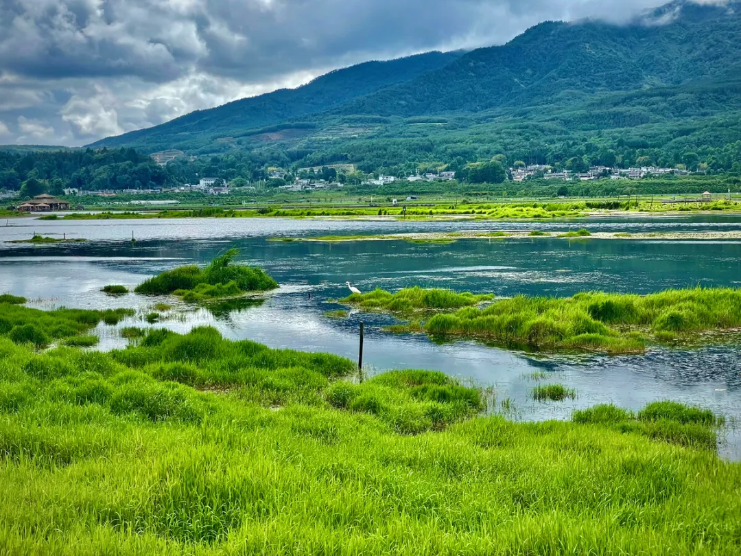 a26a50efe676a98b9e3e7c826e7259be-sz_599501