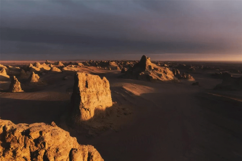 a2826ef01ff231b06ee669d8225c1f3a-sz_706231