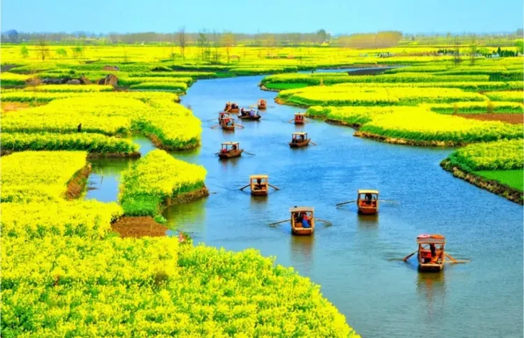 a46a1fb3cdc1376a39d43562de670b50-sz_276824