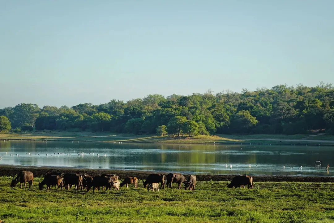 a7386ea71d2a994ff971cea1702bfd53-sz_458633