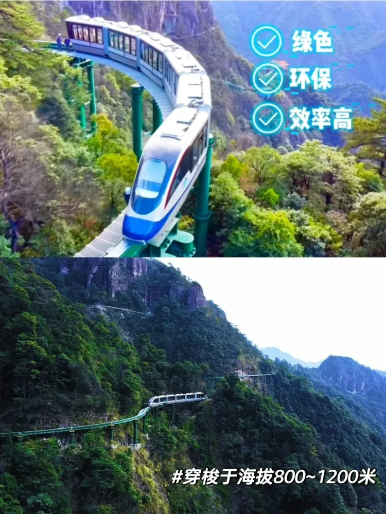 a816056ed8aaa9f9318580dd5d57e546-sz_3588607