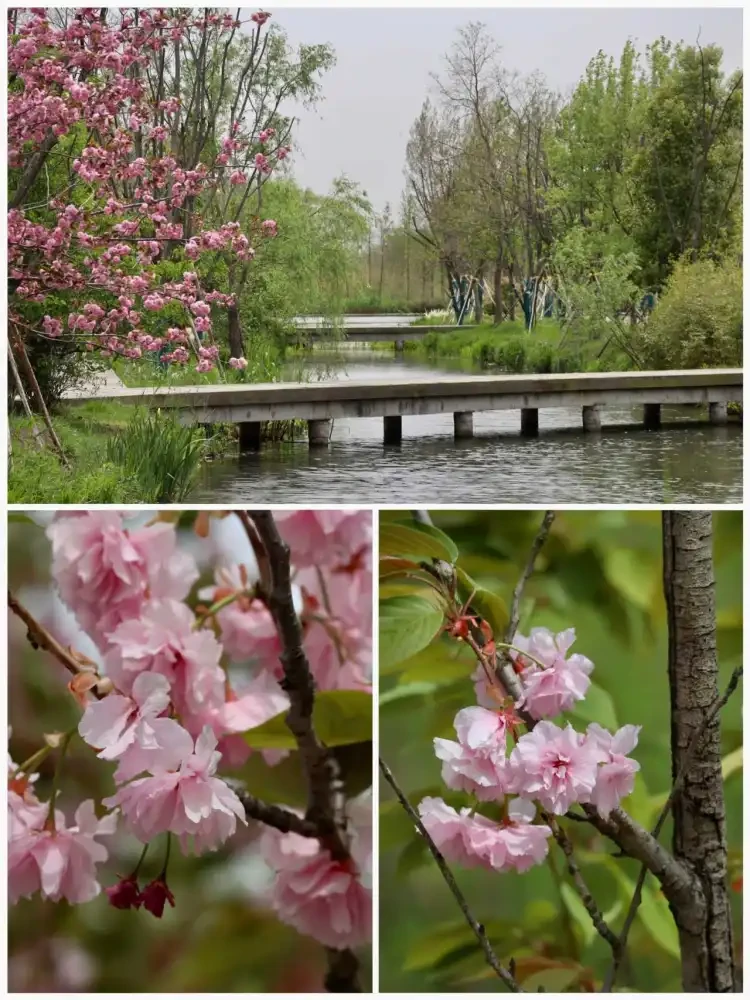 a8625b6c913f3a89ec8979c7bfaf701b-sz_234596