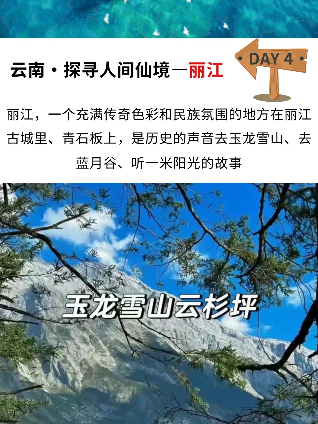 a8b5b441fa1f65dd1e2badd2ddda9183-sz_351711