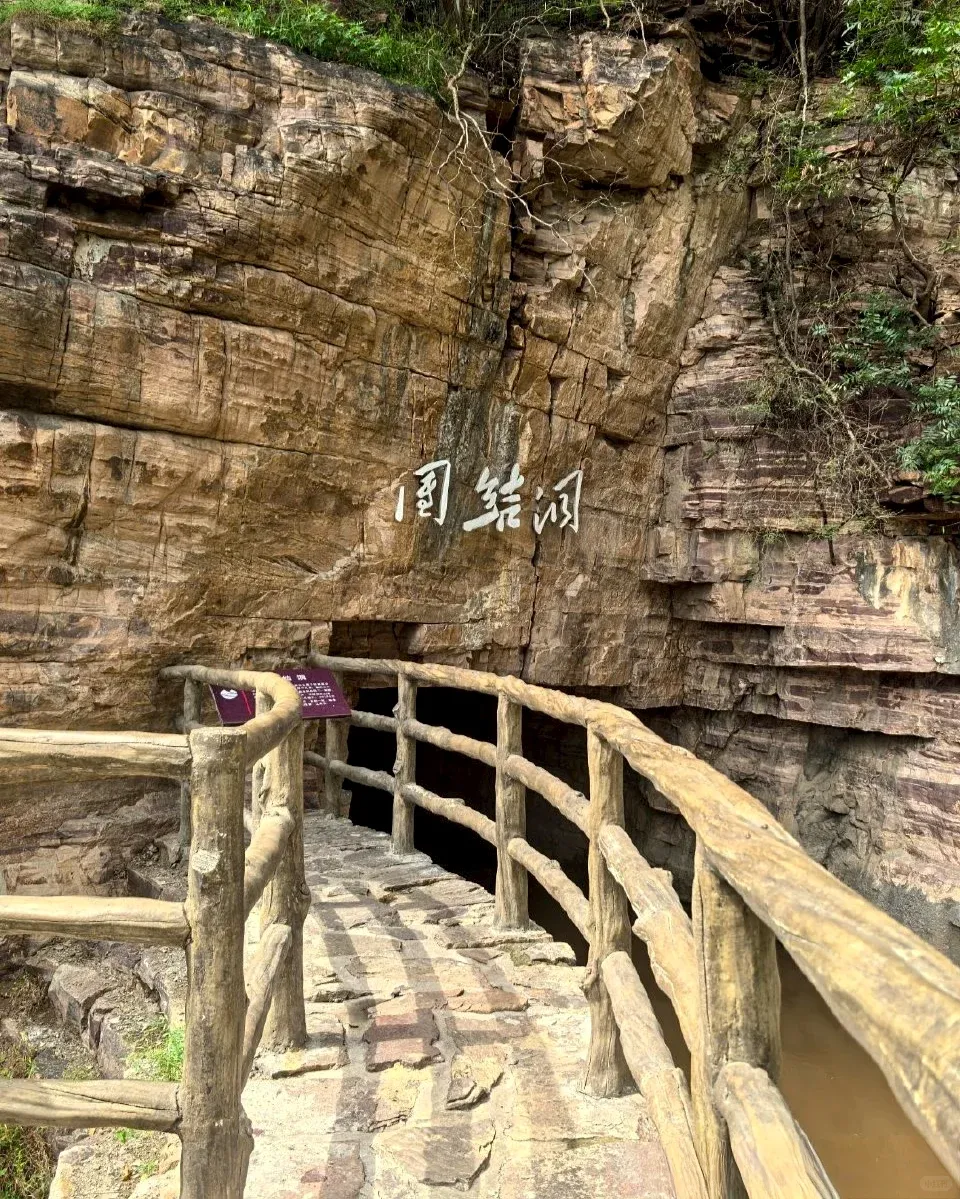 a9b0f43244e6f161d6f0c319451c265c-sz_2538377-1