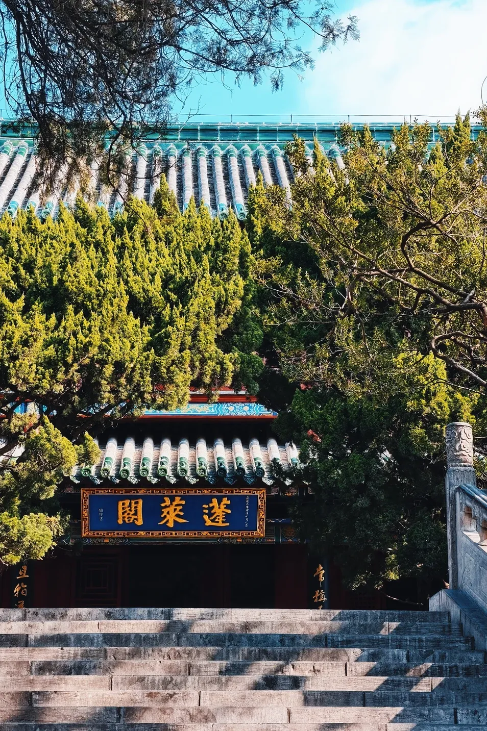 a9fcfbf206a5bfa02ea33988bd8fa016-sz_3457843