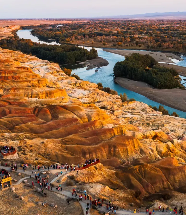 aa412aa1cf1bdf567dff05225321bd76-sz_1424063-1