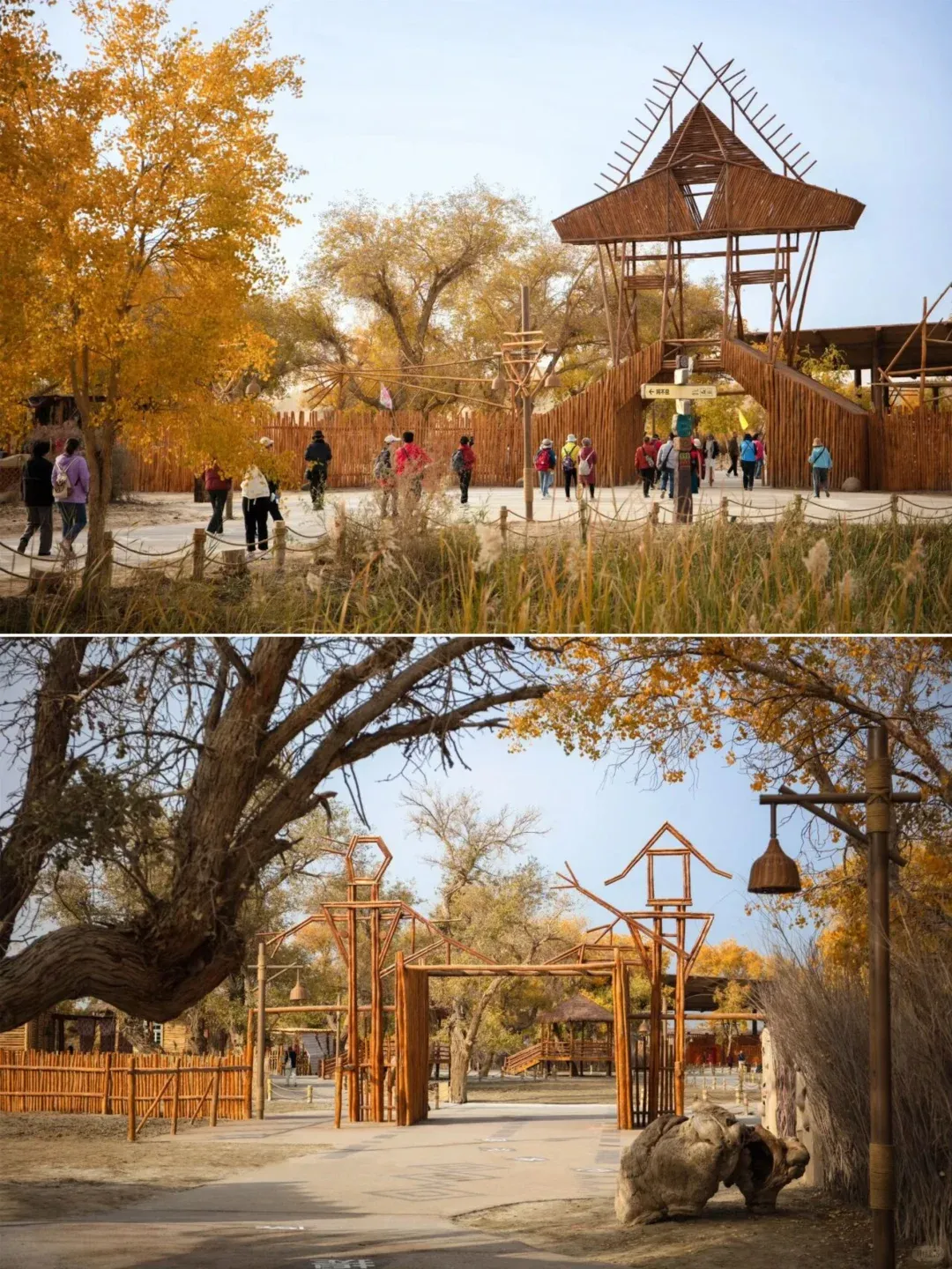 aad3466e7124904a66dddd074913b0cf-sz_2781798