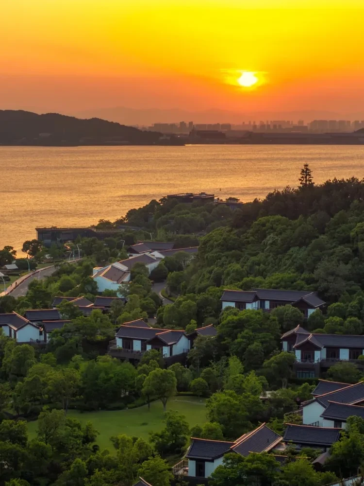 ab8f729c07a6900c8ad577e52d04e9e6-sz_397640