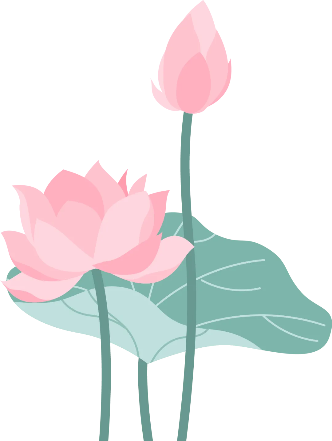 ab90c5c1ee6a814b0042db2991229740_sz-114471-1