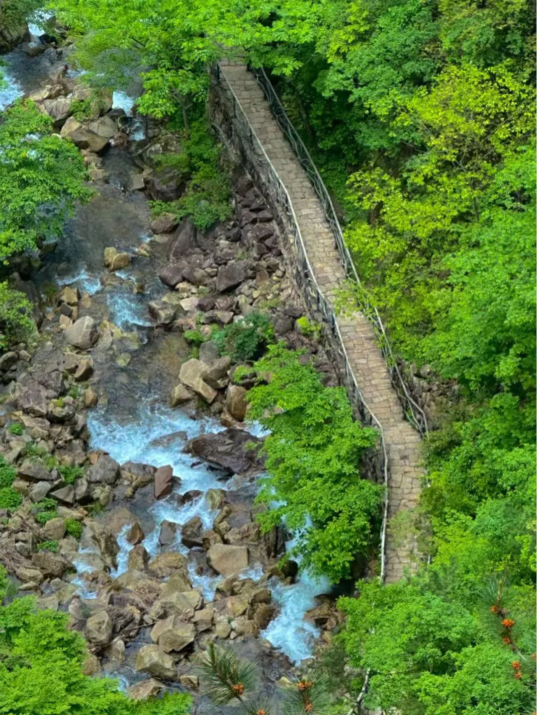 abceef1fd4f59cc12df55af936667676-sz_4374080