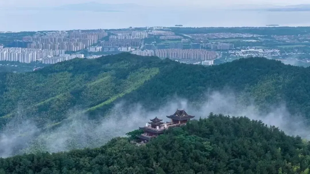 abf337d379e4015a7c50d2d48b266ec5-sz_98997